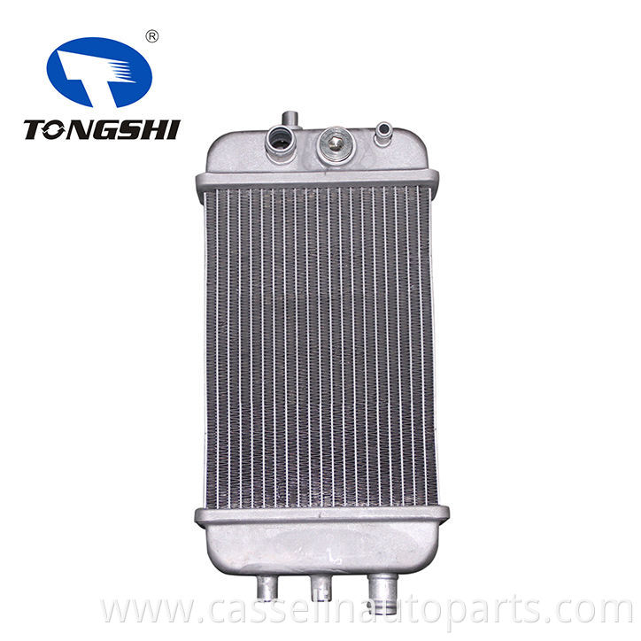 High Quality TONGSHI Car aluminum heater core for Chinese car